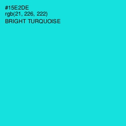 #15E2DE - Bright Turquoise Color Image